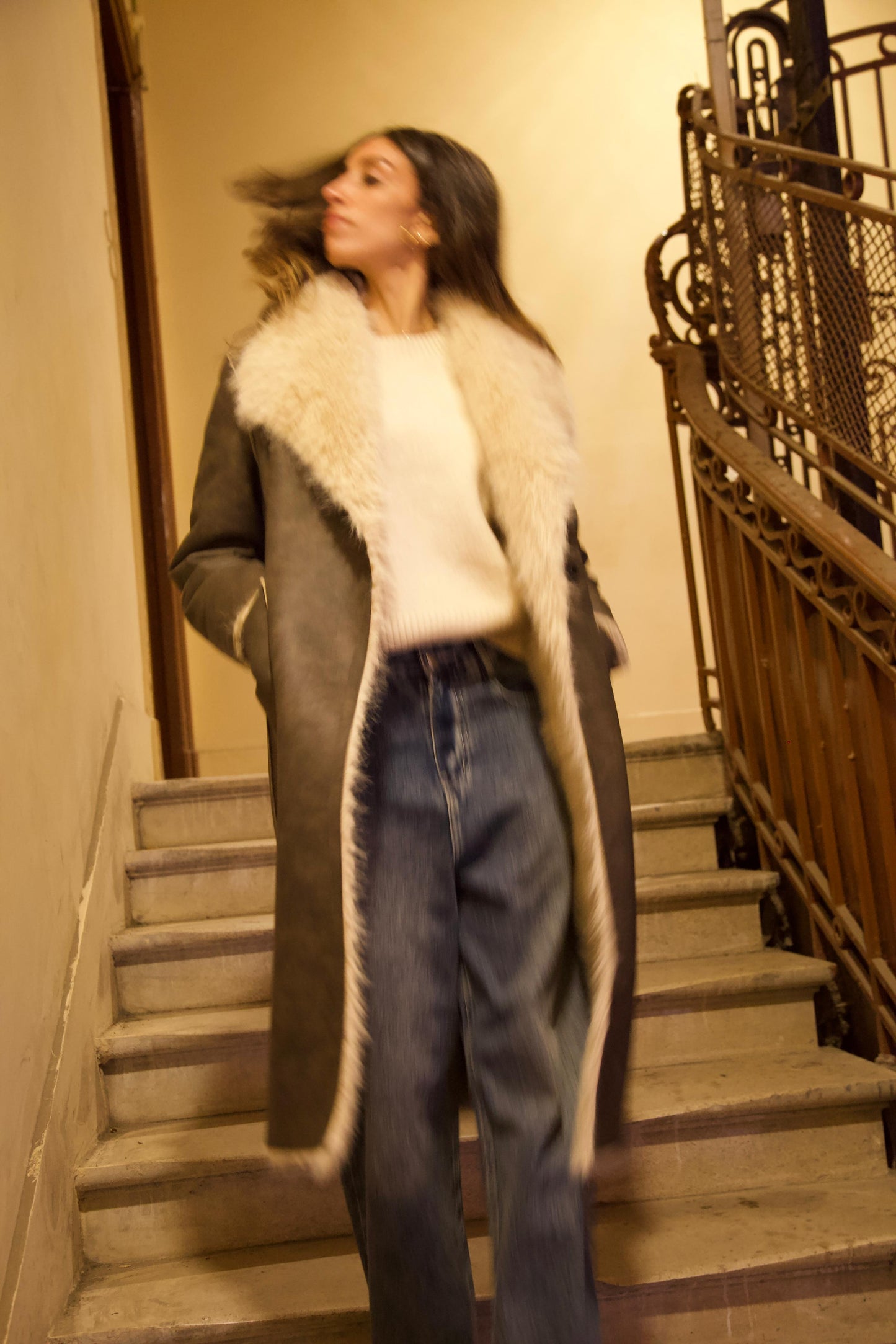 The Maison Reversible Fur Coat